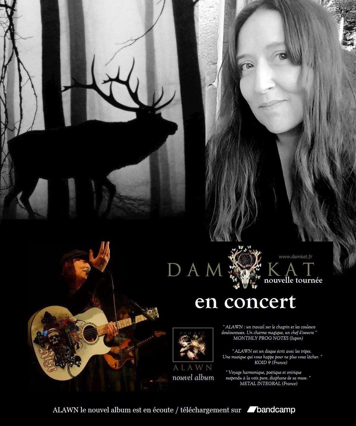 DAM KAT est auteure, artiste peintre et musicienne, originaire du Nord, elle vit désormais en Bretagne