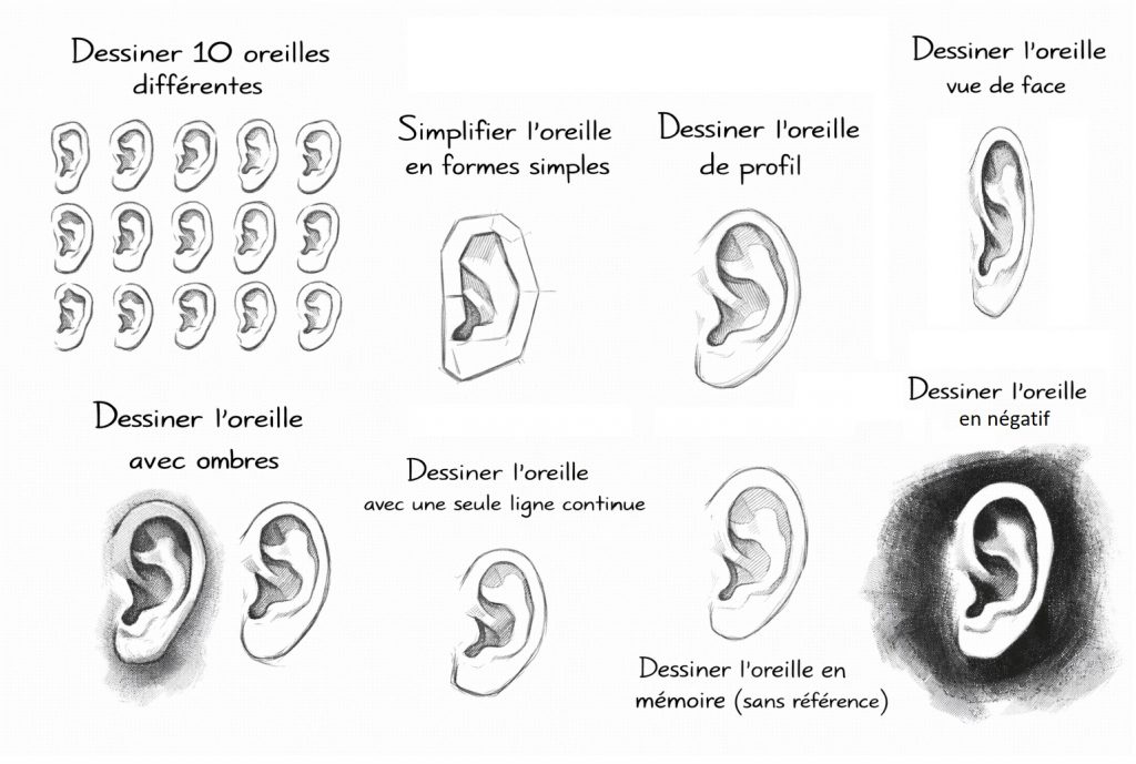 8 Exercices apprendre à dessiner les oreilles
