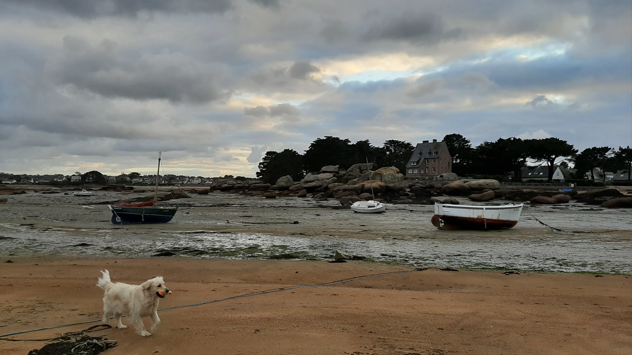 avec MICHKA à Tregastel 2