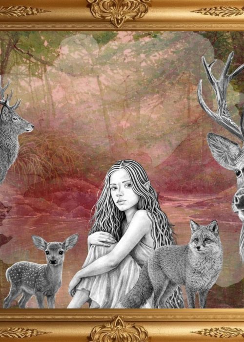 La Mare aux fées à Huelgoat