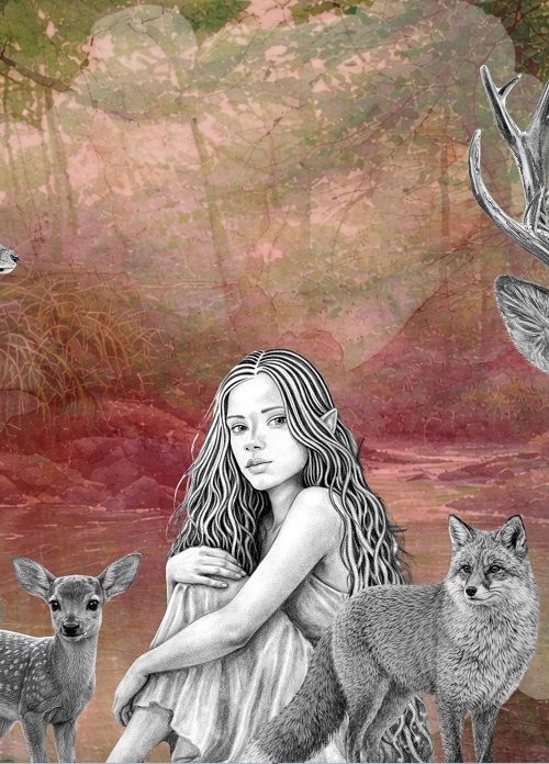 La Mare aux fées à Huelgoat