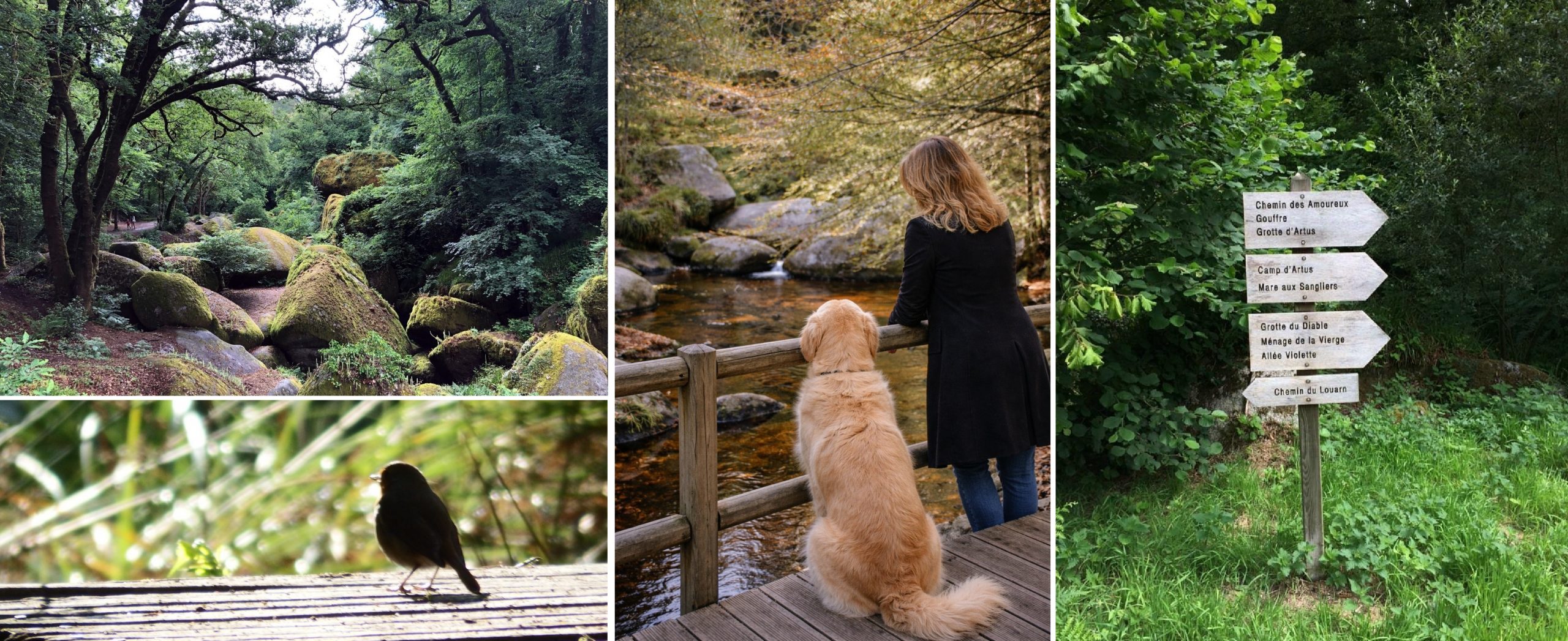 A huelgoat avec DAM KAT