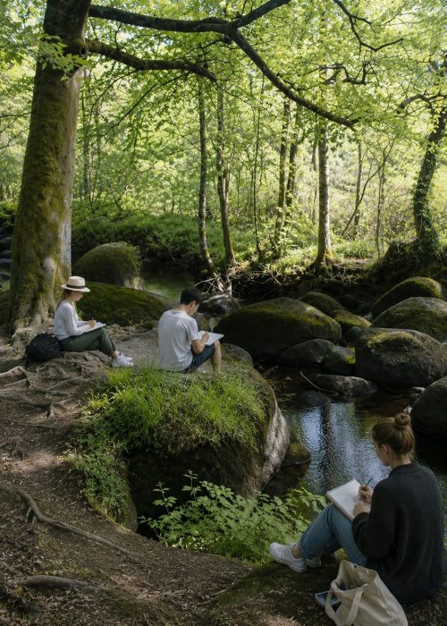 Dessin et Peinture à la foret de HUELGOAT