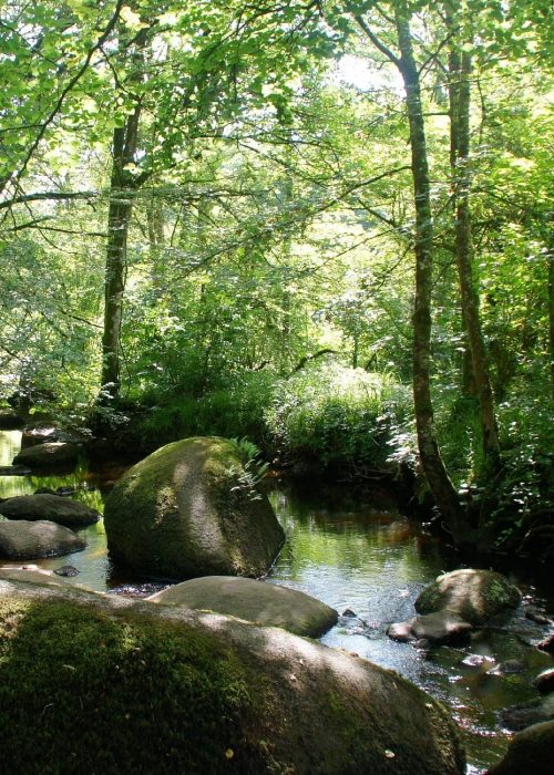 dessiner peindre foret huelgoat