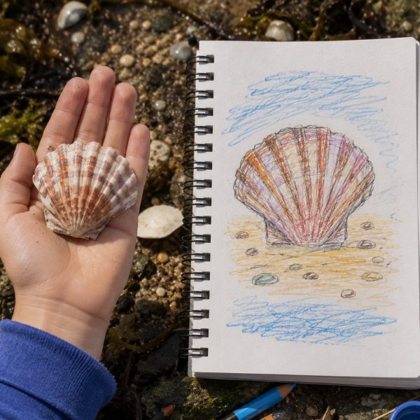 Atelier dessin enfants tregastel ploumanach lannion perros guirec brehat 30