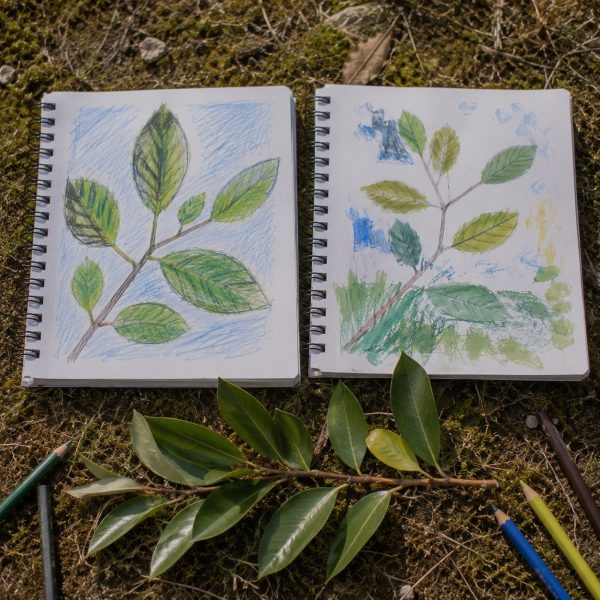 Atelier dessin enfants tregastel ploumanach lannion perros guirec brehat 32