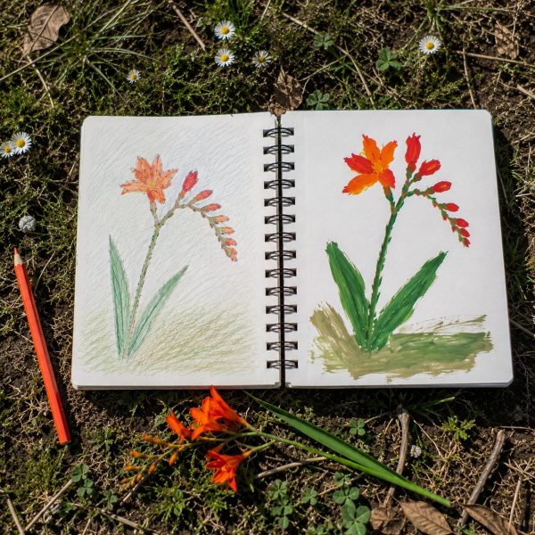 Atelier dessin enfants tregastel ploumanach lannion perros guirec brehat 34
