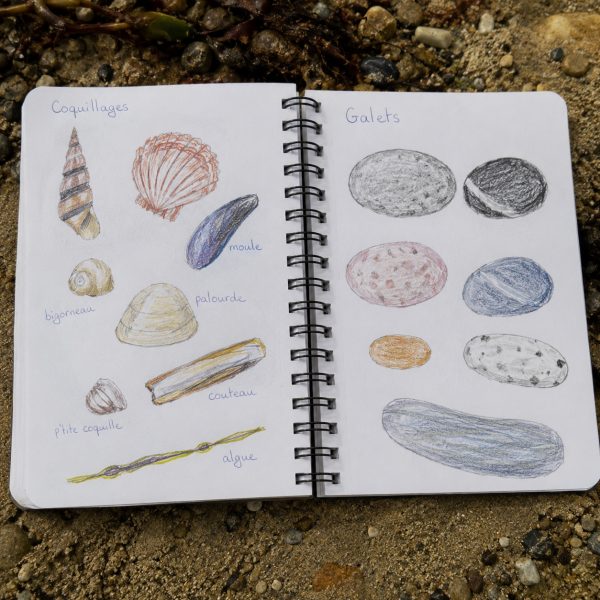 Atelier dessin enfants tregastel ploumanach lannion perros guirec brehat25