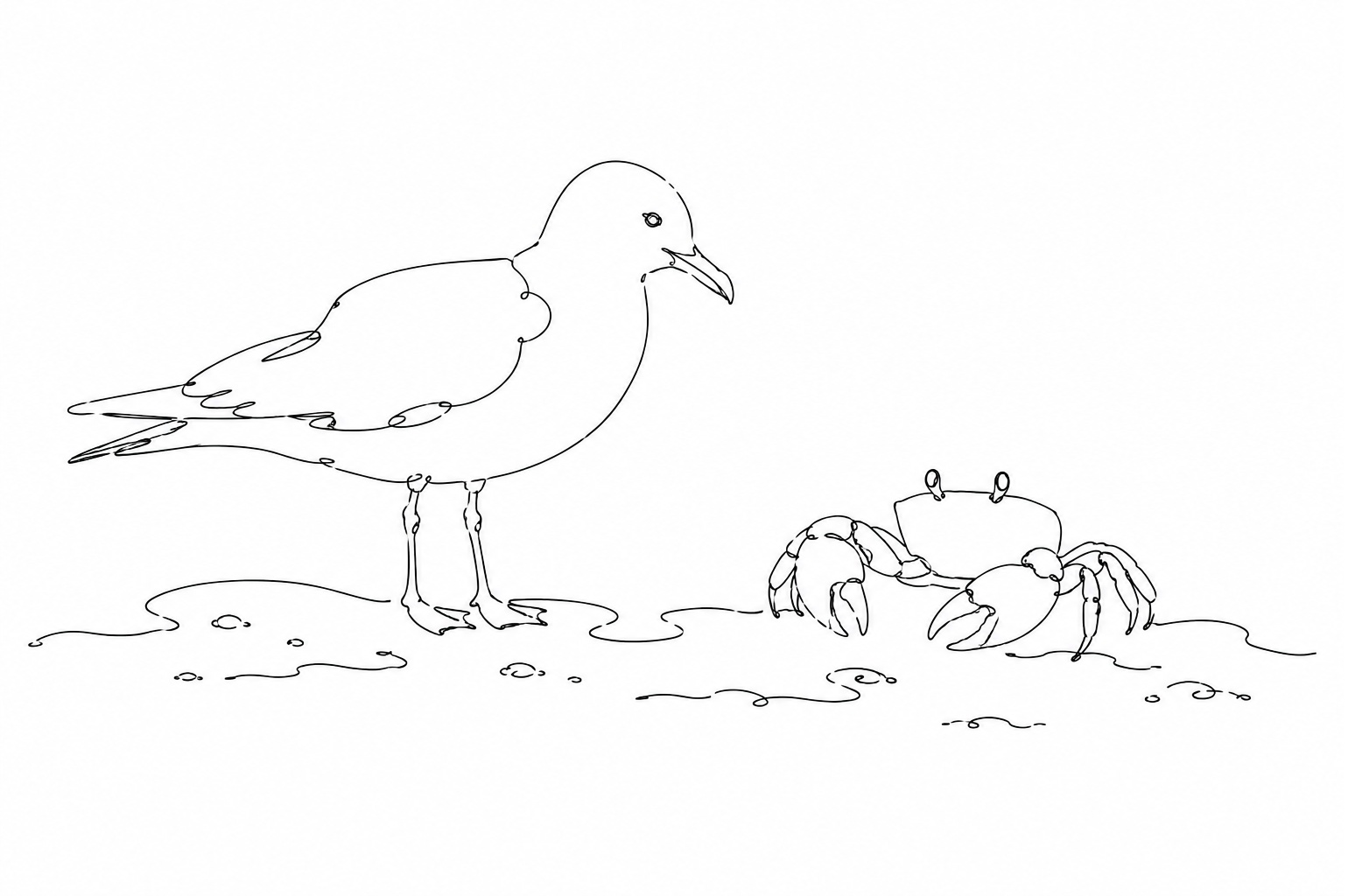 la mouette et le crabe