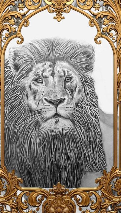 Le Vieux lion est un nouveau dessin figuratif de DAM KAT representant un animal menacé, dessin en noir et blanc