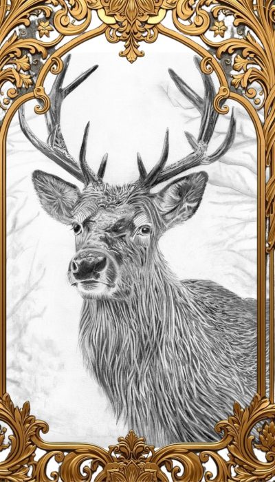 Dessin d'un animal au graphite représentant un cerf de face, sur papier format A3