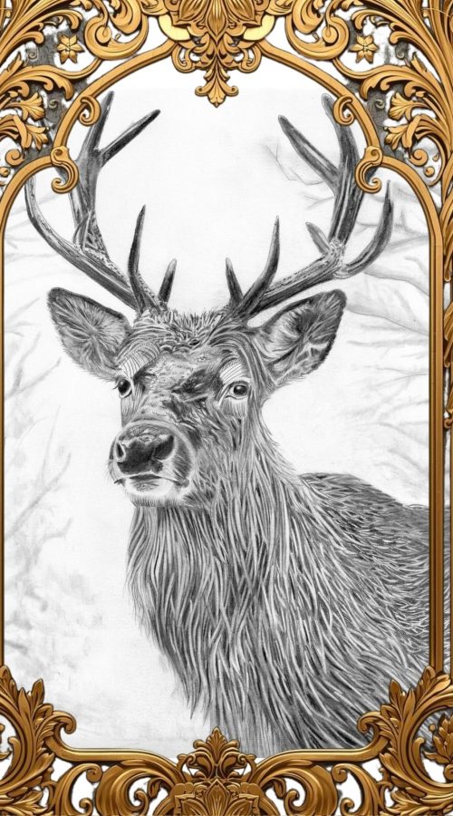 Dessin d'un animal au graphite représentant un cerf de face, sur papier format A3